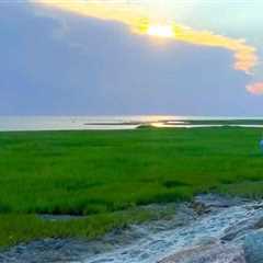 Exploring the Best Bookstores for Travel Books in Middlesex County, MA