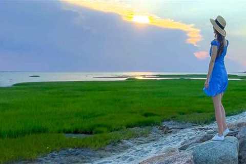 Exploring the Best Bookstores for Travel Books in Middlesex County, MA