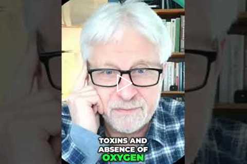 Undo Problems with Detoxification #shorts