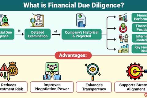 Financial Due Diligence