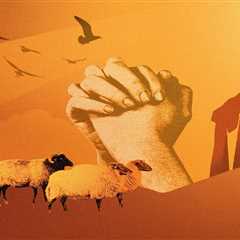 Before You Go the Ayahuasca Route, Know This