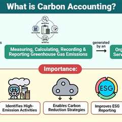 Carbon Accounting